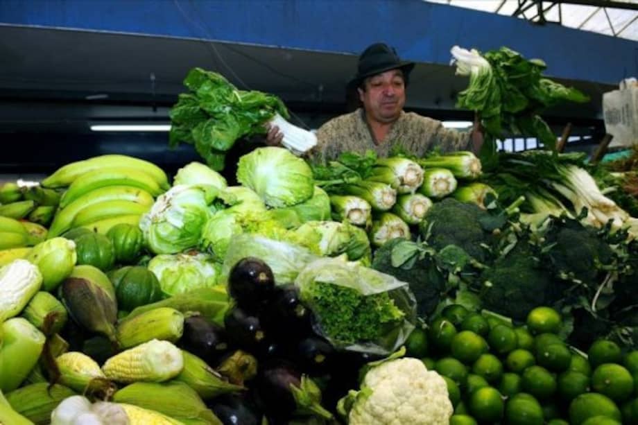 Cómo preparar verduras calientes