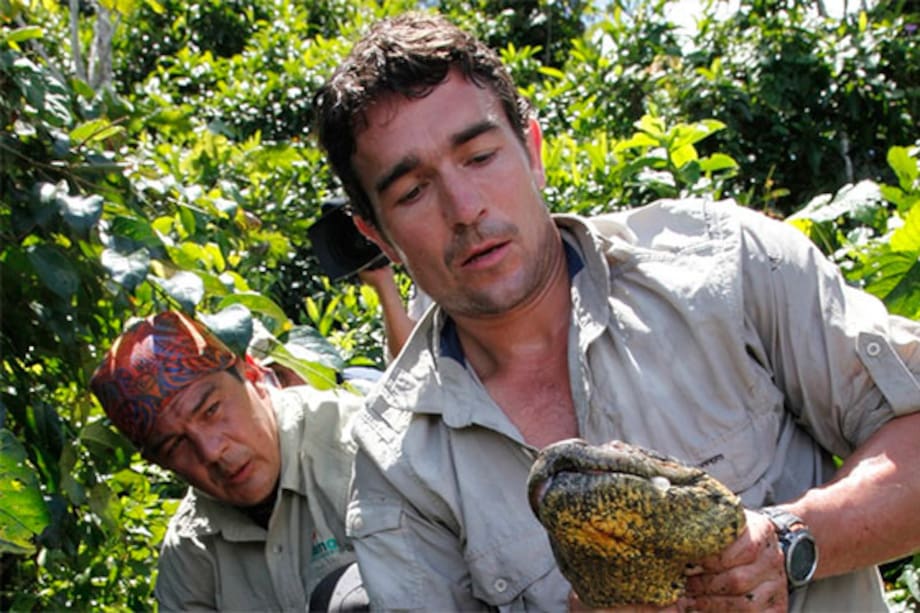 Descubra a los animales más grandes y furiosos del mundo