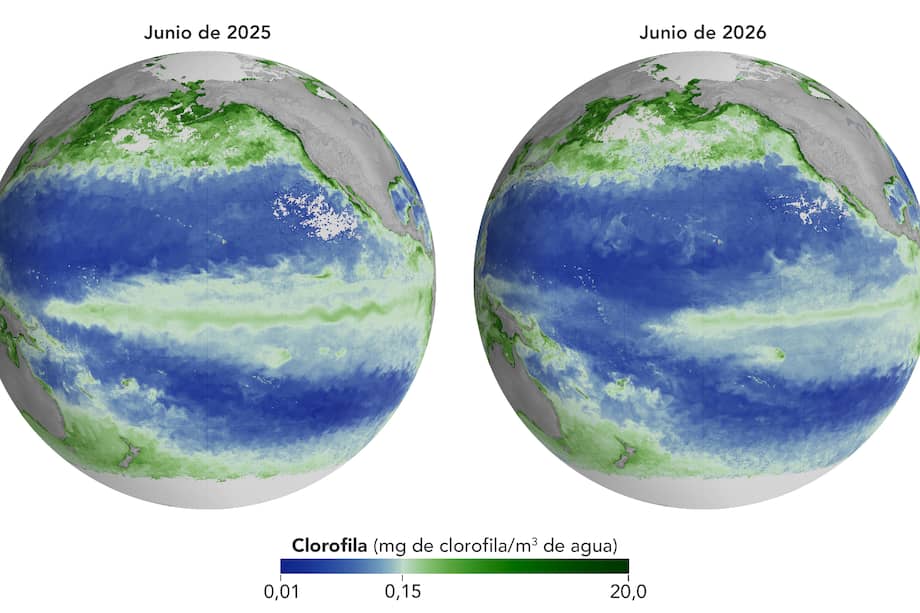 Concentraciones de clorofila disminuyen durante el fenómeno de El Niño en 2026.