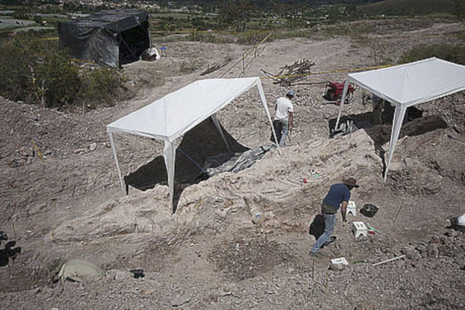 Por la variedad orográfica de Colombia sería posible encontrar varios lugares potencialmente análogos para la astrobiología.