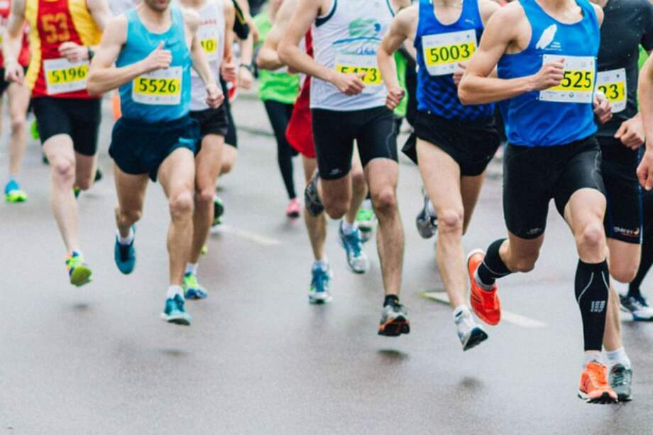 Referencia / Pixabay.