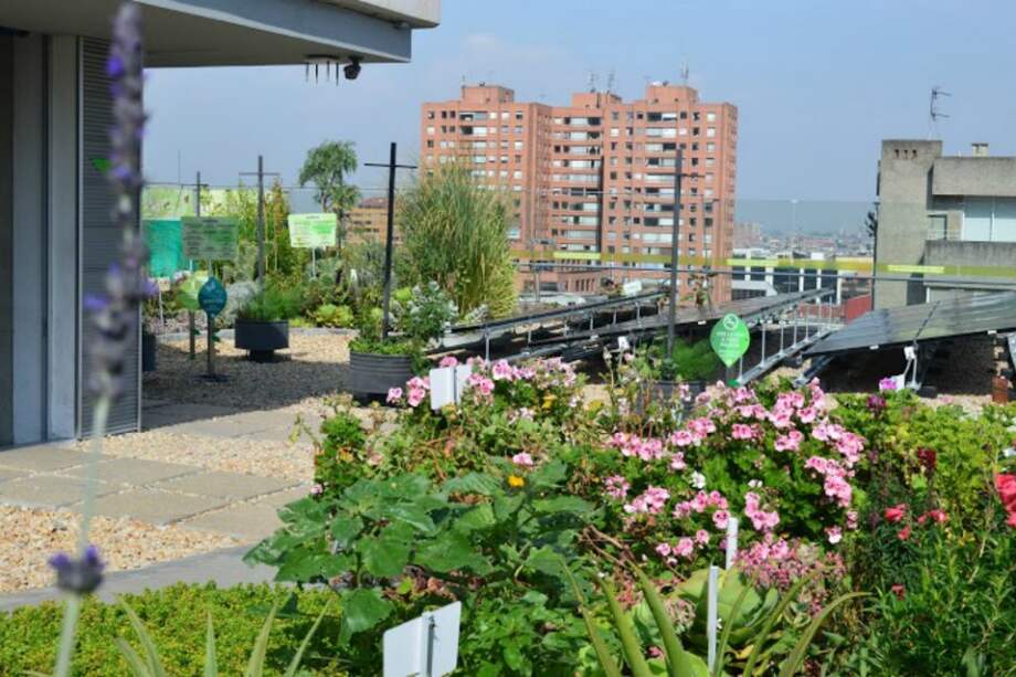 La terraza verde de la EAN, en la que se instalaron 25 paneles en 60 metros cuadrados para alimentar un edificio de ocho pisos. / Cortesía