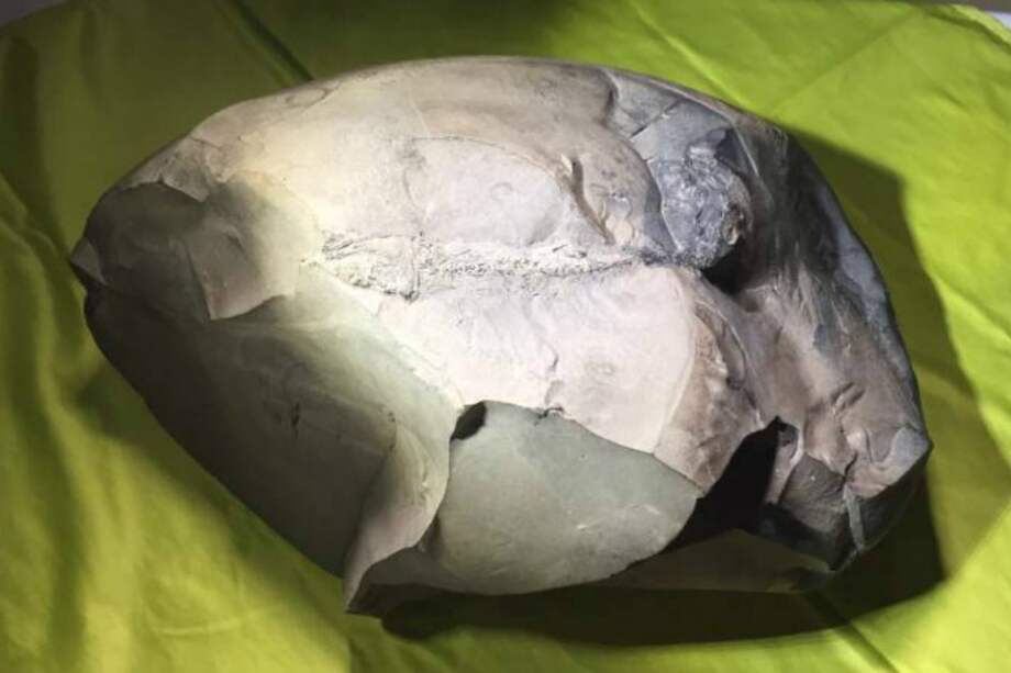 Consorcio Ruta del Sol / Consorcio Ruta del Sol