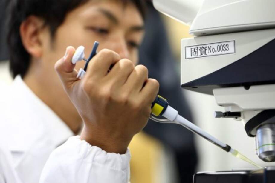 Los resultados fueron publicados en la revista "Science Advances". / Archivo Particular