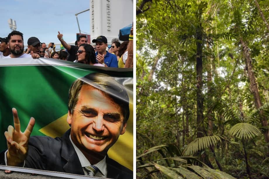 A 54 días de la posesión de Jair Bolsonaro, sus políticas alarman a los ambientalistas del mundo. / AFP / Earth Times