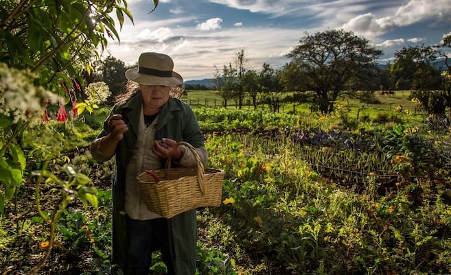 La mujer de más de 70 años que convirtió su huerta en una lección de vida