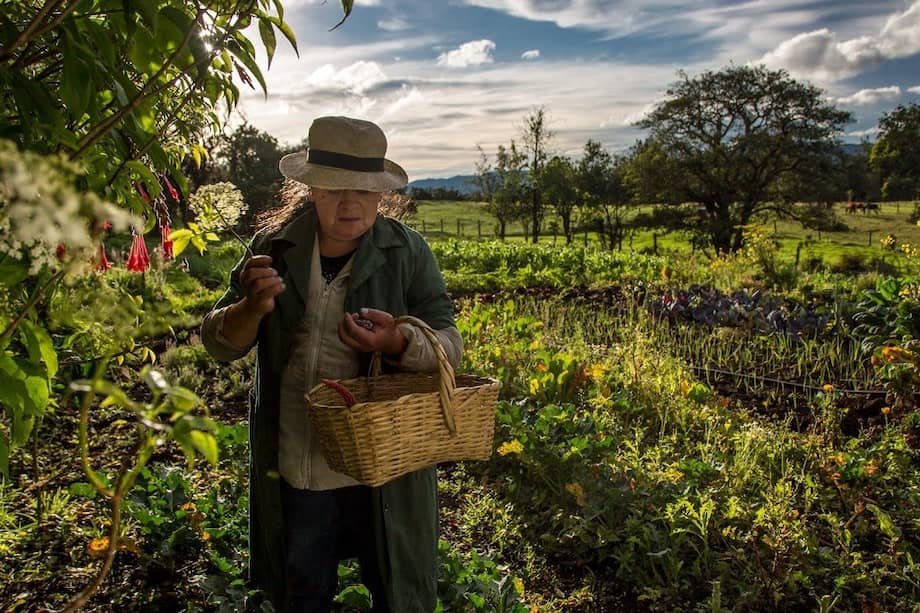 Esta es la historia de Clementina Barajas y de cómo las plantas pueden protegerse entre sí sin necesidad de químicos.