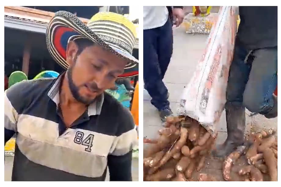 El campesino señala que hay sobreoferta de yuca y no se la quisieron comprar.