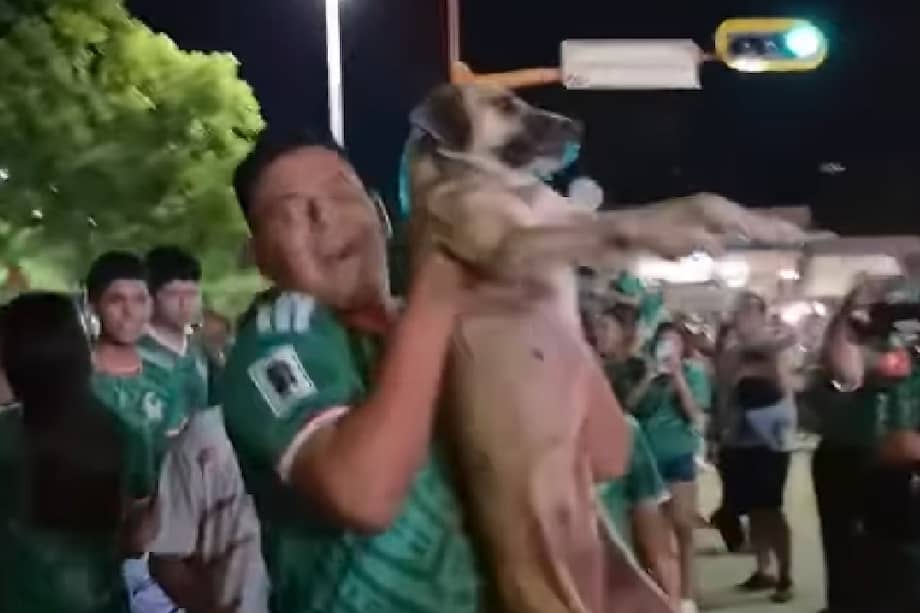 Las imágenes virales permitieron a una familia identificar a su mascota perdida hace un mes.
