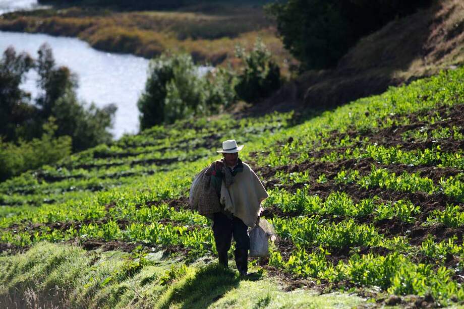 La transformación del campo y el desarrollo rural es uno de los ejes del plan para el cuatrienio. / Santiago La Rotta