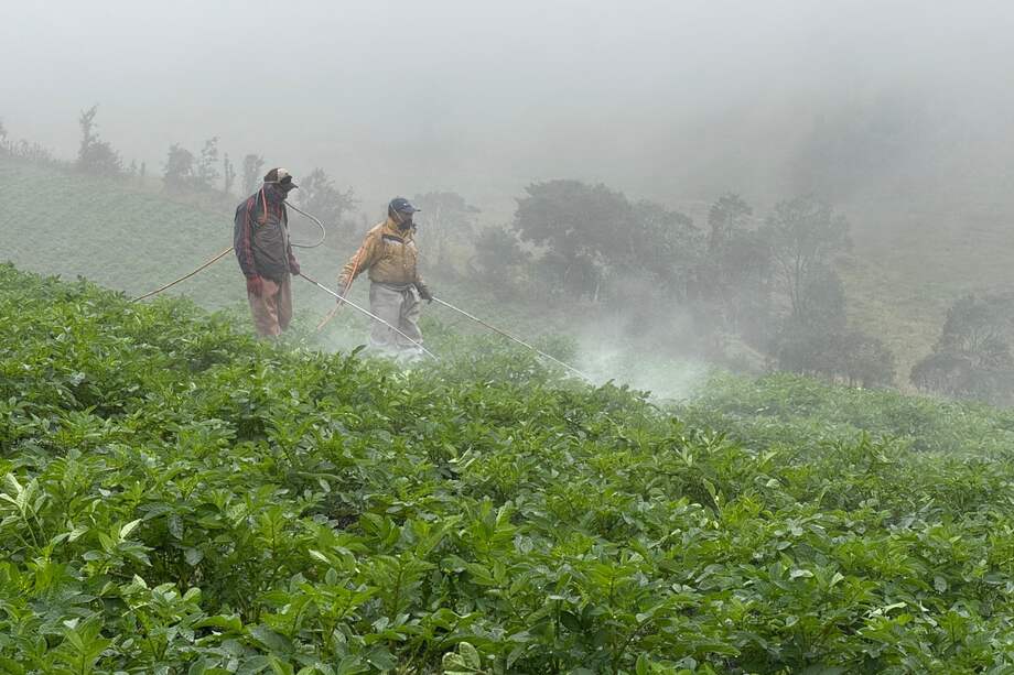 Sancionan a actor que afectó la zona del Páramos con actividades ilícitas.