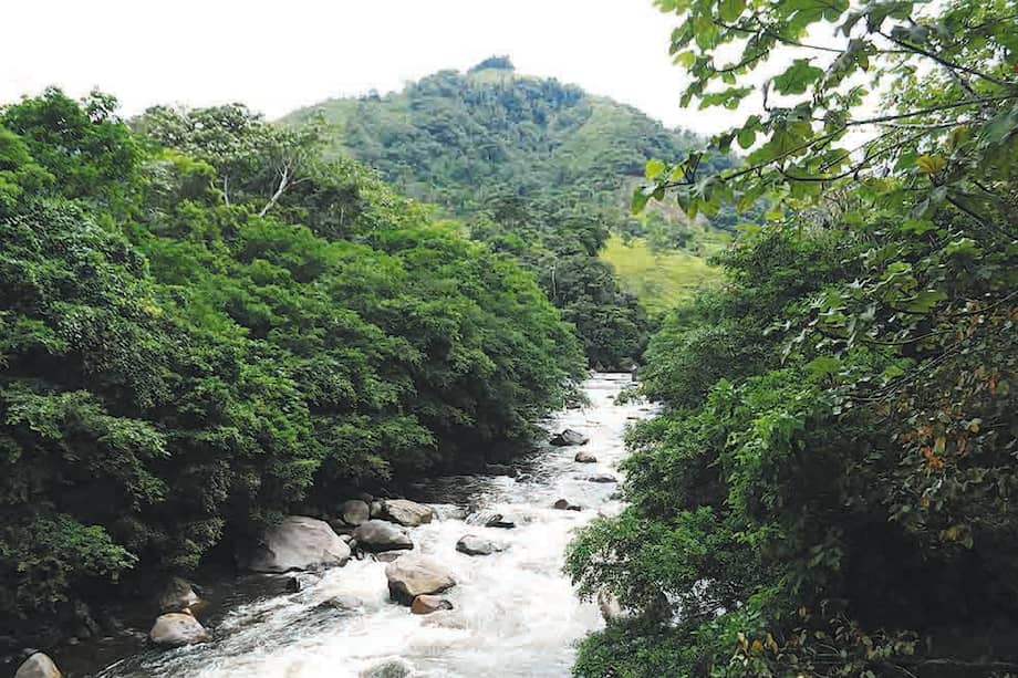 El río Hacha, con 64,5 km de longitud, permite la práctica de deportes como kayak y rafting. / Flickr: Sol Robayo