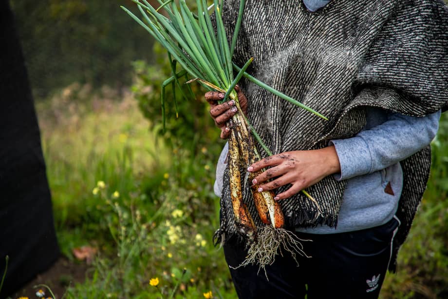 La pasarela “El campo está de moda” visibiliza el vínculo entre campo y ciudad a través de moda, cultura y alimentos campesinos.