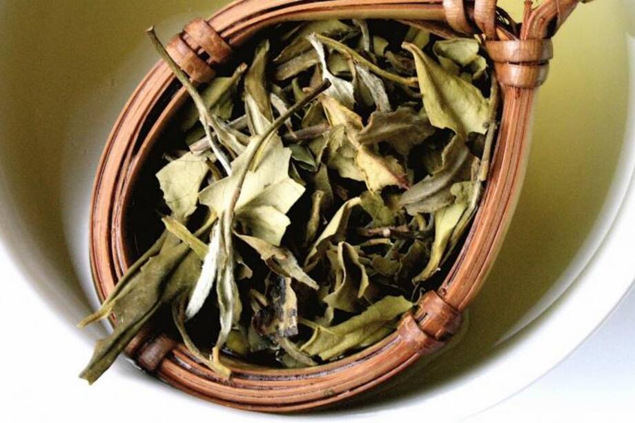 Té blanco, un antioxidante eficaz para tu cuerpo