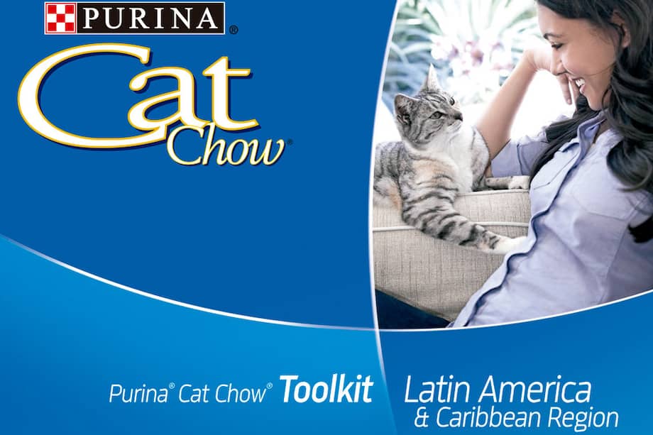 ¿Cuál es la mejor alimentación para mi gato?