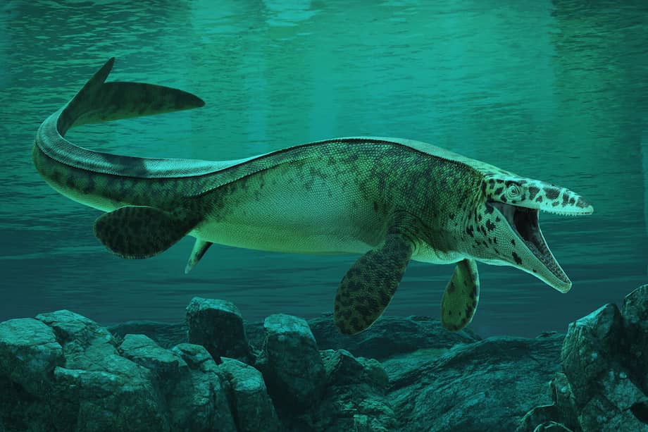 Ilustración del nuevo "Tylosaurus rex".