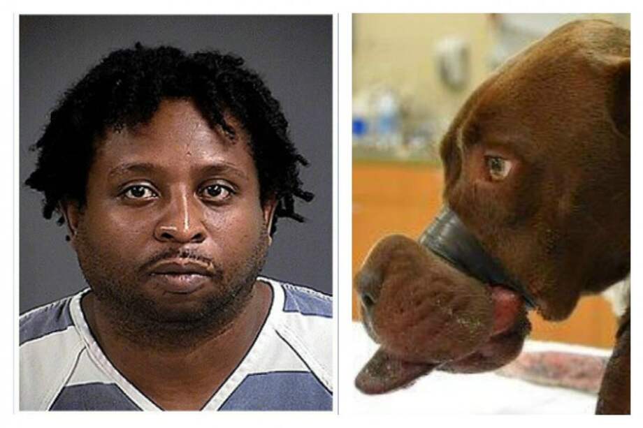 William Leonard Dodson acusado de maltratar a Caitlyn. / Departamento de Policía de North Charleston / Charleston Animal Society