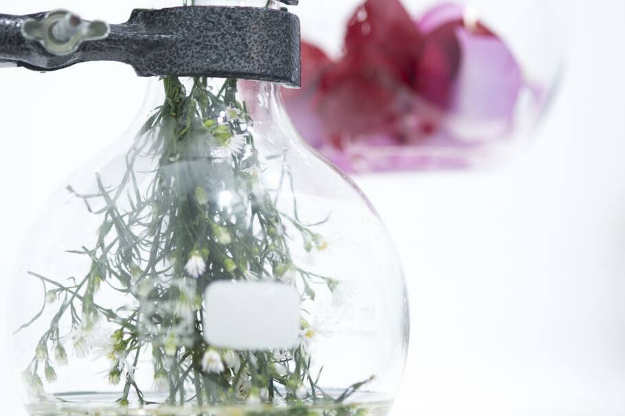 Así es un laboratorio de cosméticos ecológicos