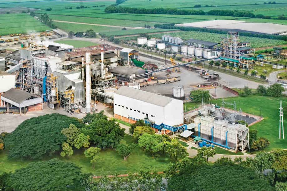 El ingenio Mayagüez ve posibilidades de expandir sus operaciones en la altillanura colombiana. / Cortesía