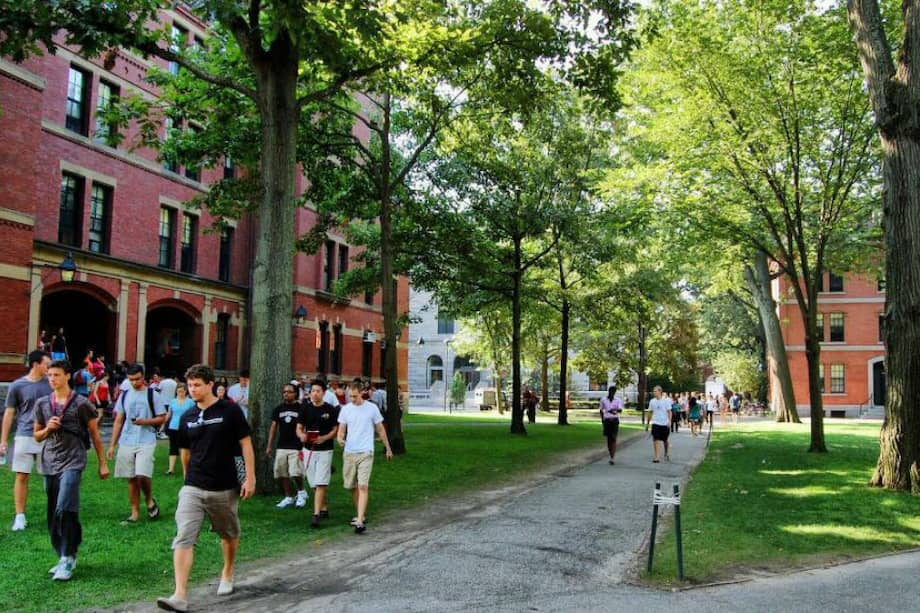 El 35% de los estudiantes de primer año en Harvard son vírgenes