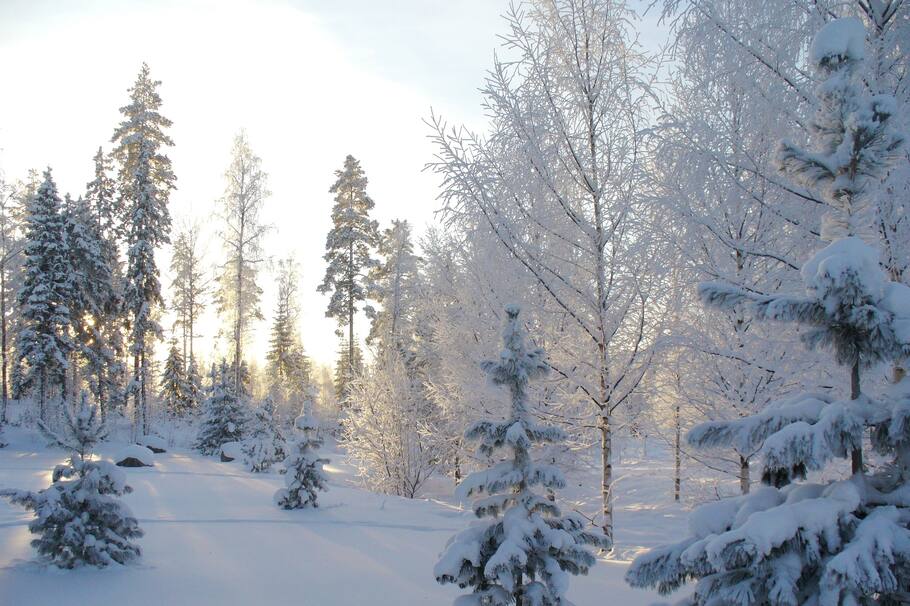 Paraíso pandémico: la pareja que esquivó el coronavirus en una isla remota