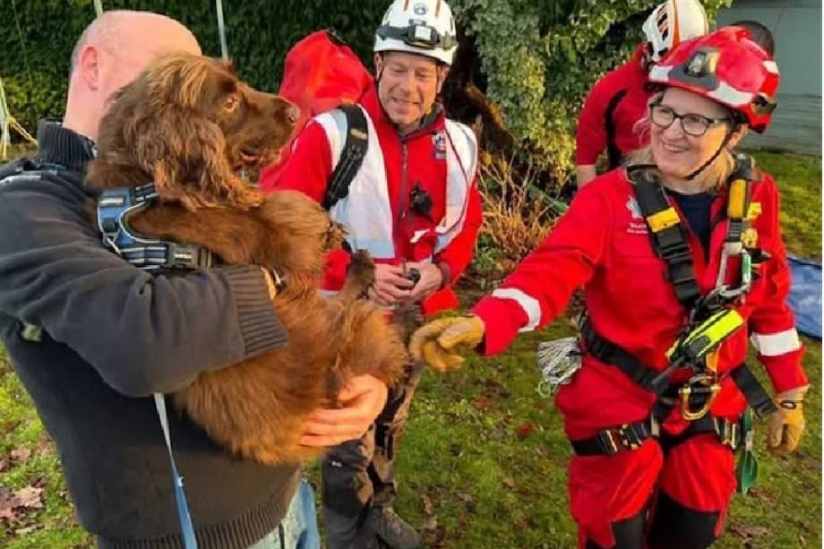 Al notar la desaparición del perro, su propietario, David Trevelyan, solicitó ayuda inmediata.