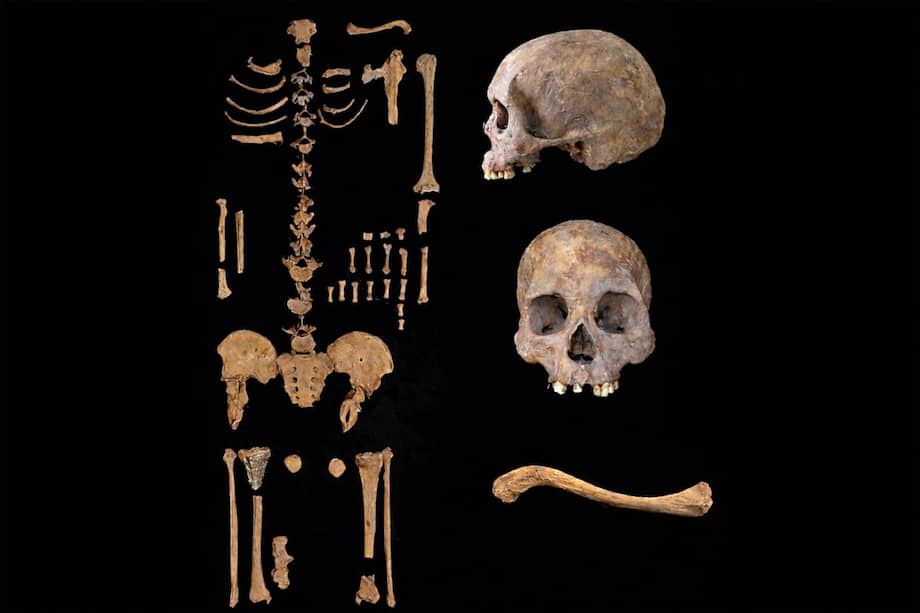 Estos son algunos de los restos del individuo analizado durante la investigación.