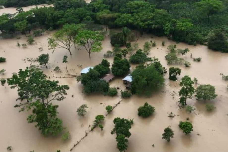 Tomada de @foccustv7 / Tomada de @foccustv7