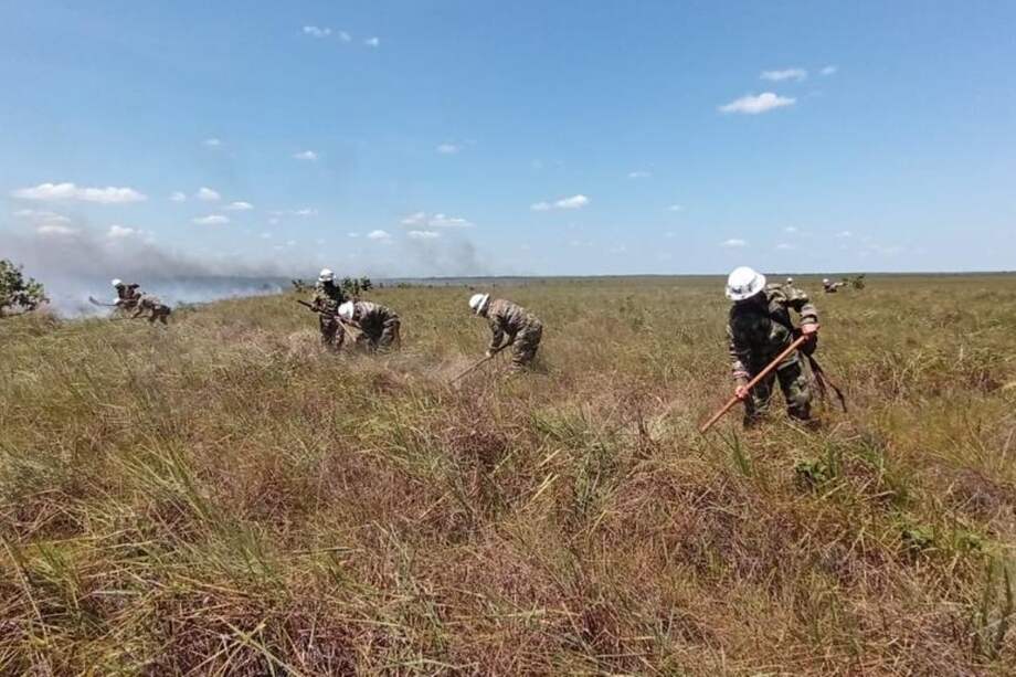 El incendio comenzó desde el 7 de febrero. El Tuparro se extiende a través de 548.000 hectáreas en las que habitan más de 320 especies de aves y gran variedad de peces.