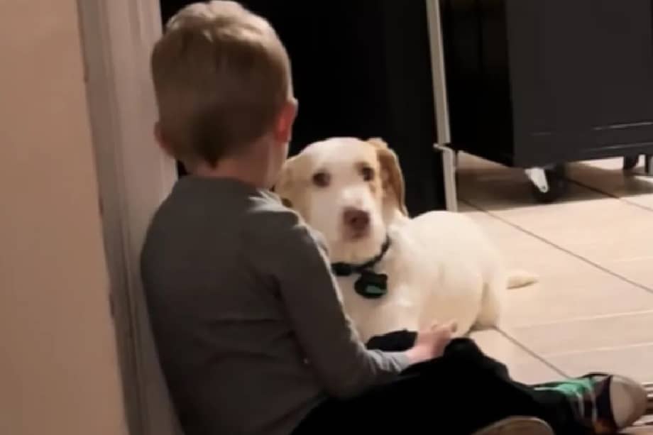 La grabación fue compartida en TikTok y rápidamente generó una ola de reacciones emotivas.