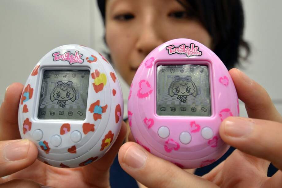 El "animal" completa un ciclo natural -nace, crece y muere- en unos 20 ó 25 días.