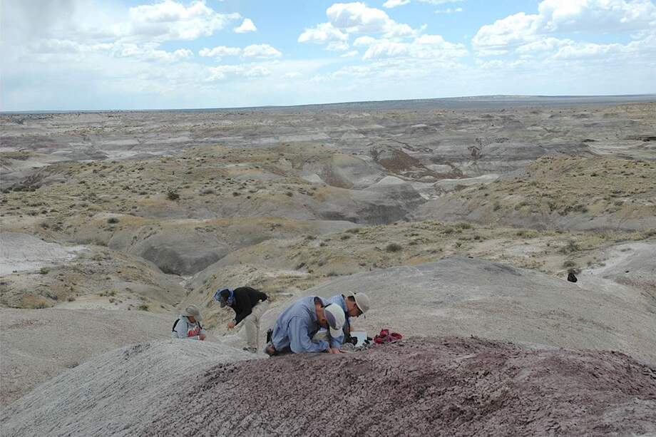 El estudio ofrece una nueva mirada a los últimos ecosistemas dominados por dinosaurios que sobreviven en la cuenca de San Juan, en el noroeste de Nuevo México. /New Mexico State University
