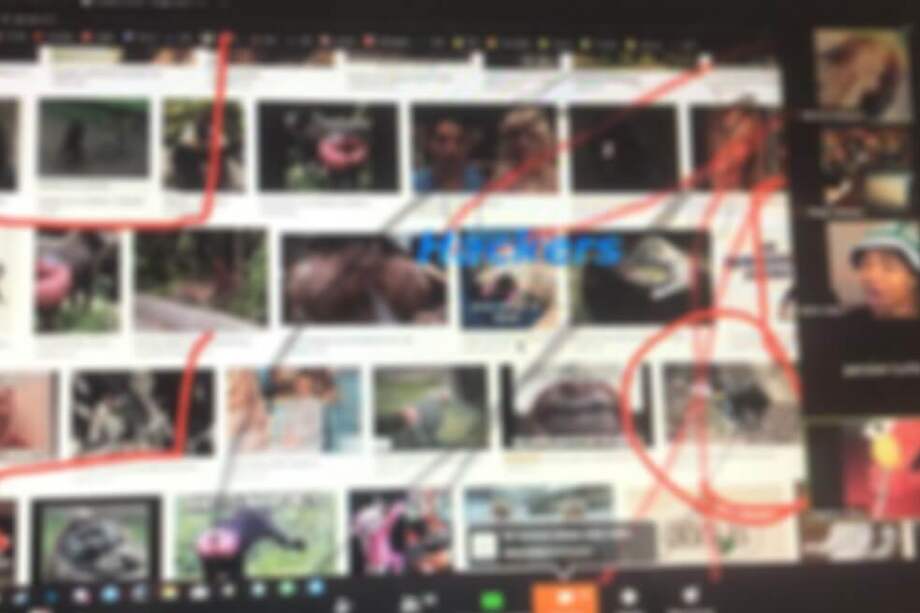 Desconocidos ingresaron a la sesión de la plataforma Zoom e interrumpieron con toda suerte de sonidos, mofas e imágenes. / Archivo particular