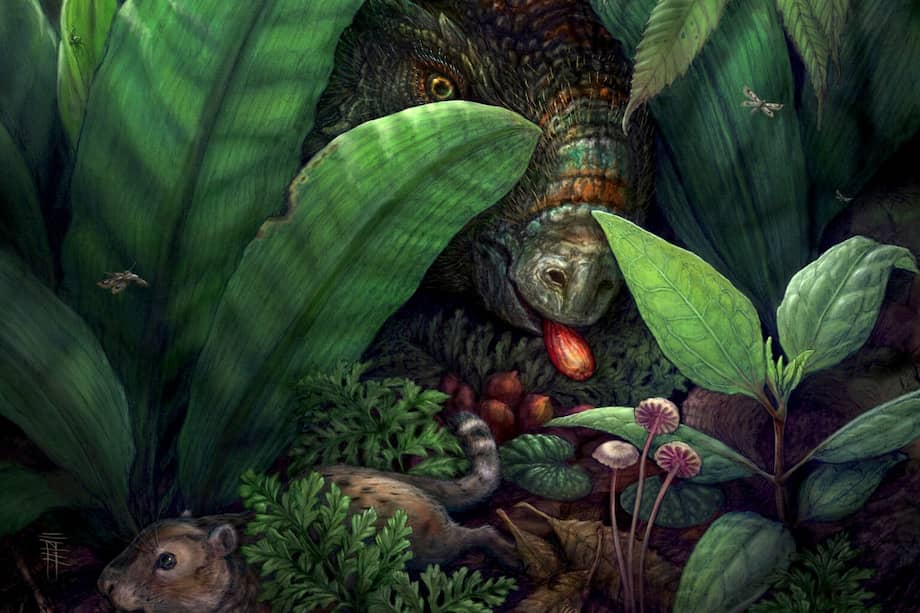 Reconstrucción artística del sotobosque de un bosque del Cretácico tardío, basada en fósiles de 75 millones de años de antigüedad procedentes de un entorno interior que ahora forma parte de Nuevo México. La escena muestra dos ejemplos hipotéticos de dispersores de semillas de grandes plantas con flores (angiospermas) antes de la desaparición de los dinosaurios hace 66 millones de años. Se observa un mamífero primitivo (izquierda), miembro de un grupo extinto de animales parecidos a roedores llamados multituberculados, y un dinosaurio marginocefaliano (arriba) entre angiospermas y helechos. /Brian Engh, livingrelicproductions.com