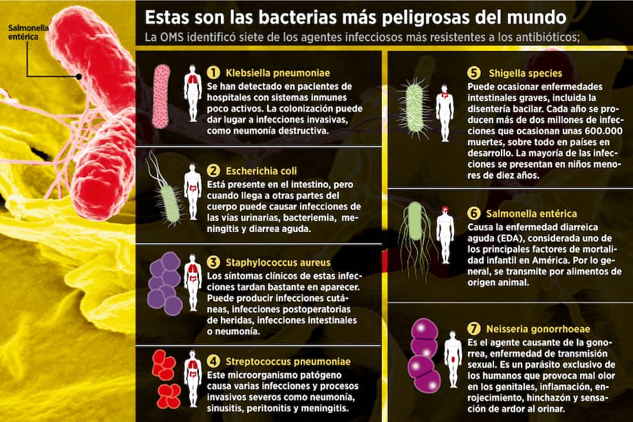 Los antibióticos ya no están funcionando