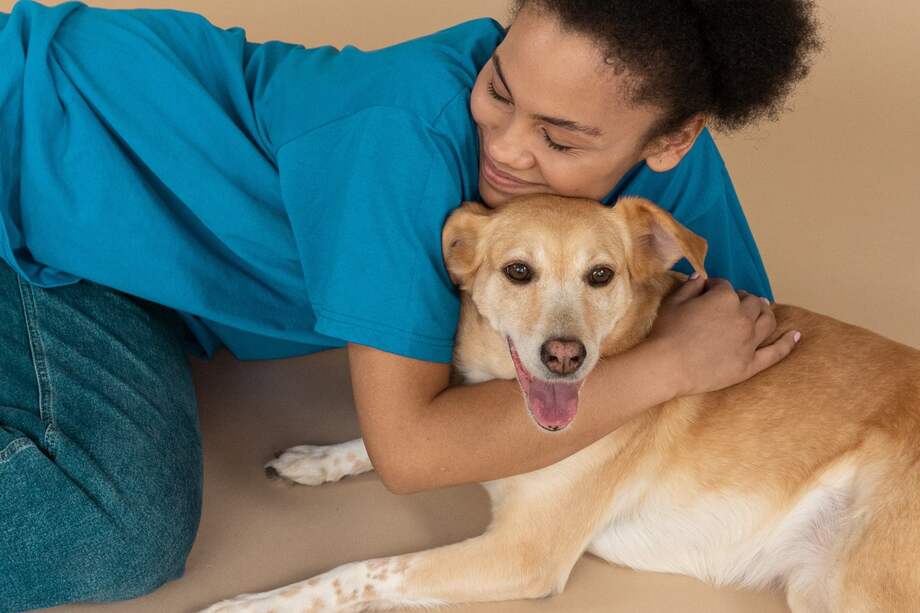 Promover la adopción es uno de los mejores actos que puede tener con su mascota.