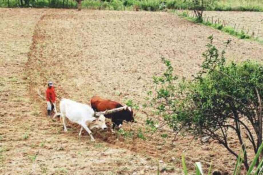 El catastro que rige actualmente en el país data del año 1983. / Archivo