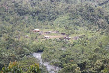 Ordenan atención humanitaria urgente para comunidades indígenas confinadas en Chocó