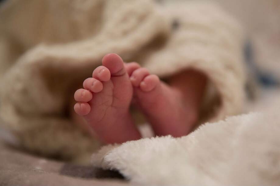 Tomada de Pixabay/Referencia