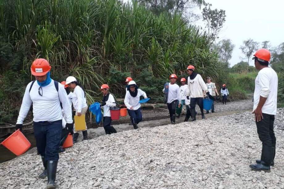 Imagen de las labores que según EPM se están adelantando para el rescate de fauna del río Cauca. / EPM