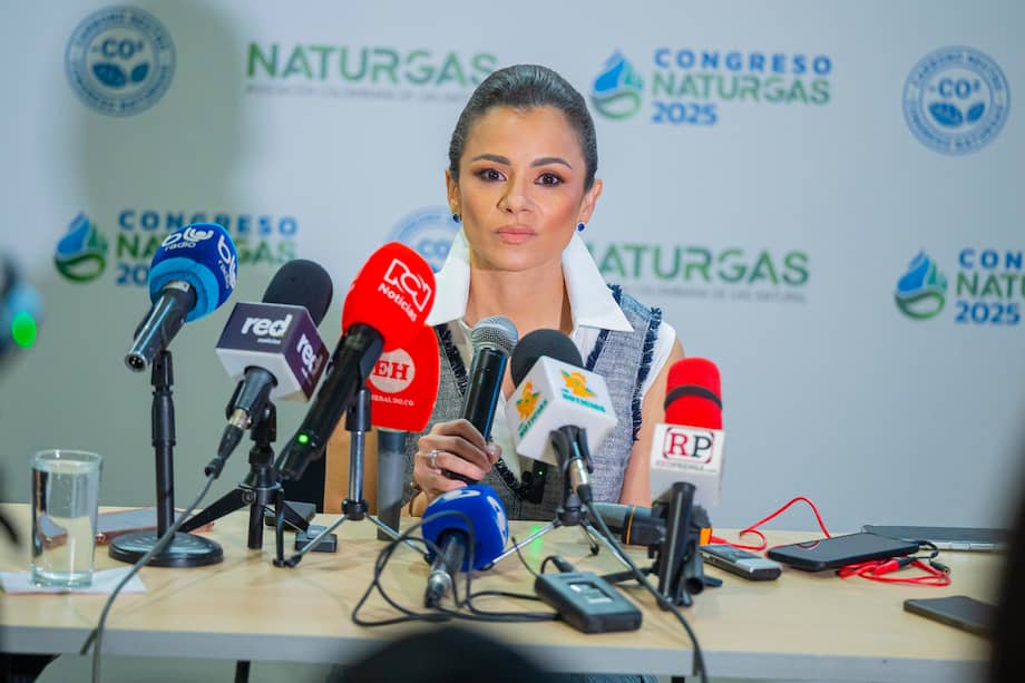 Luz Stella Murgas, presidenta de Naturgas.