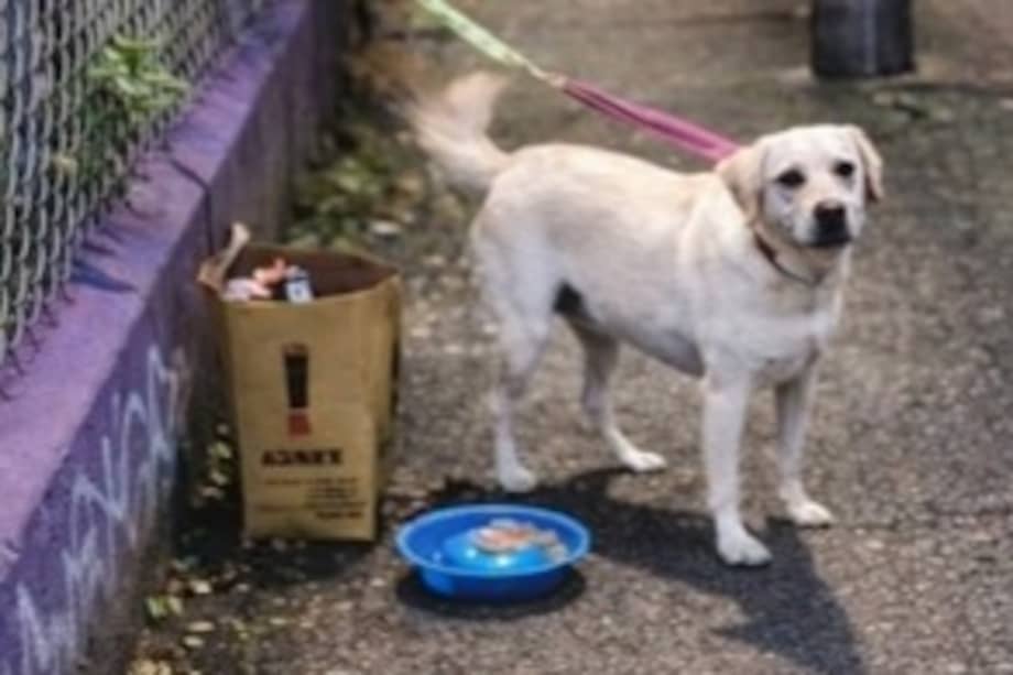 La mascota fue descrita como de carácter noble, juguetón y amoroso.