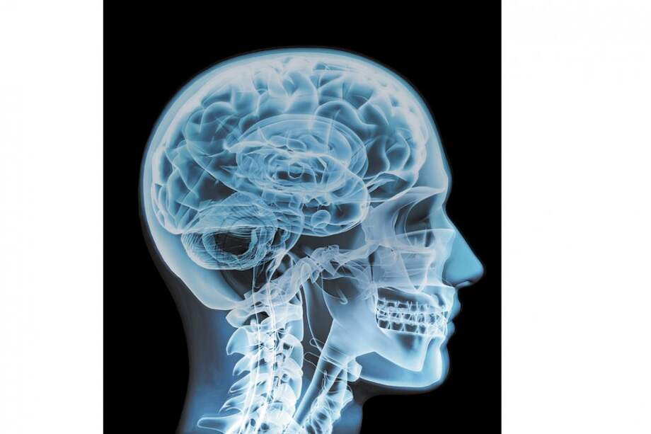 Los hombres y las mujeres actúan diferente frente a una decisión de consumo. ¿Qué mueve a cada género a la hora de comprar?