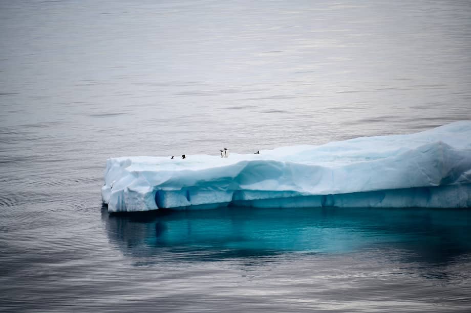 El hielo marino del océano desaparecería durante verano una década antes de lo pronosticado en las últimas estimaciones.