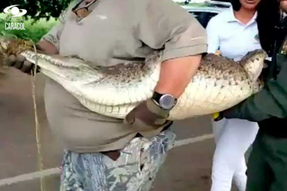 Captura de pantalla Caracol Televisión.