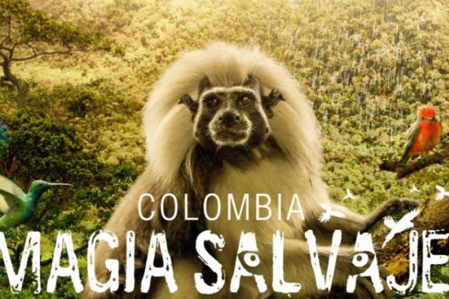 "Colombia Magia salvaje" la película más taquillera en la historia del cine colombiano