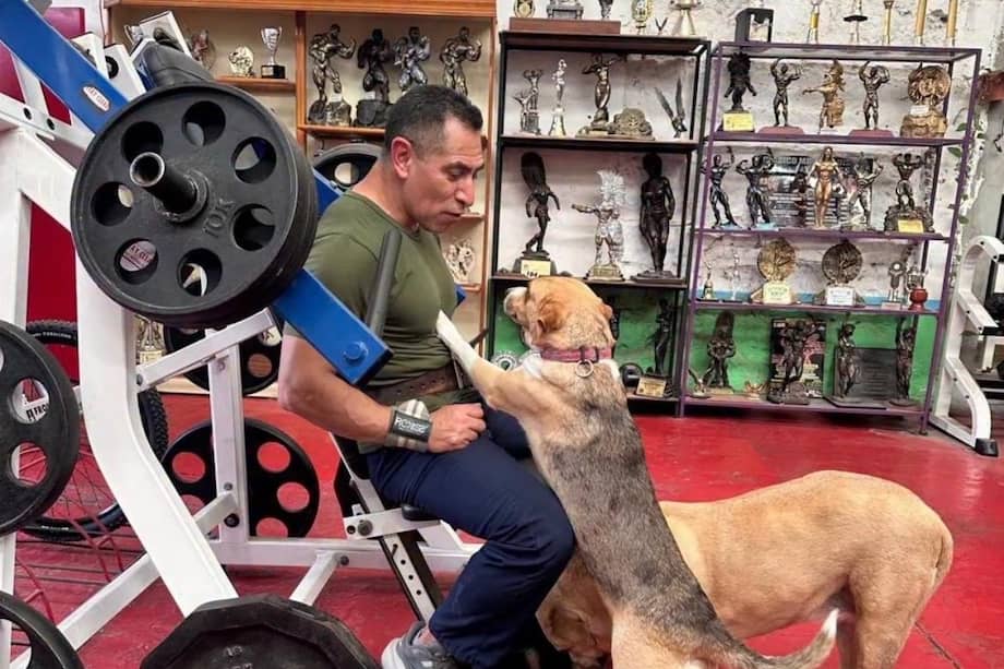 Los clientes conviven con los animales, creando un ambiente distinto dentro del gimnasio.