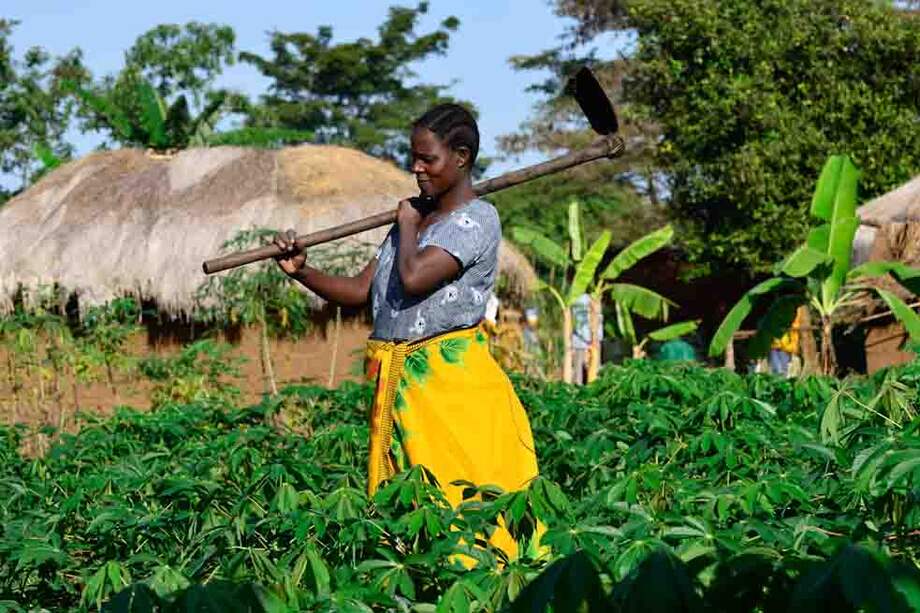 Rosalia Shemdoe, agricultora de Tanzania, que realizó un intercambio a un barrio a 1.000 kilómetros de su casa para aprender cómo otras comunidades están enfrentando el cambio climático que le esperará a ella e 2030. /Neil Palmer-CIAT