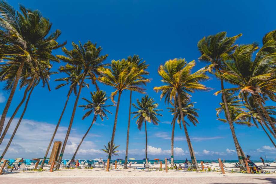 En San Andrés más de 12.000 personas cambiaron 75.000 bombillas incandescentes y las sustituyeron por LED.