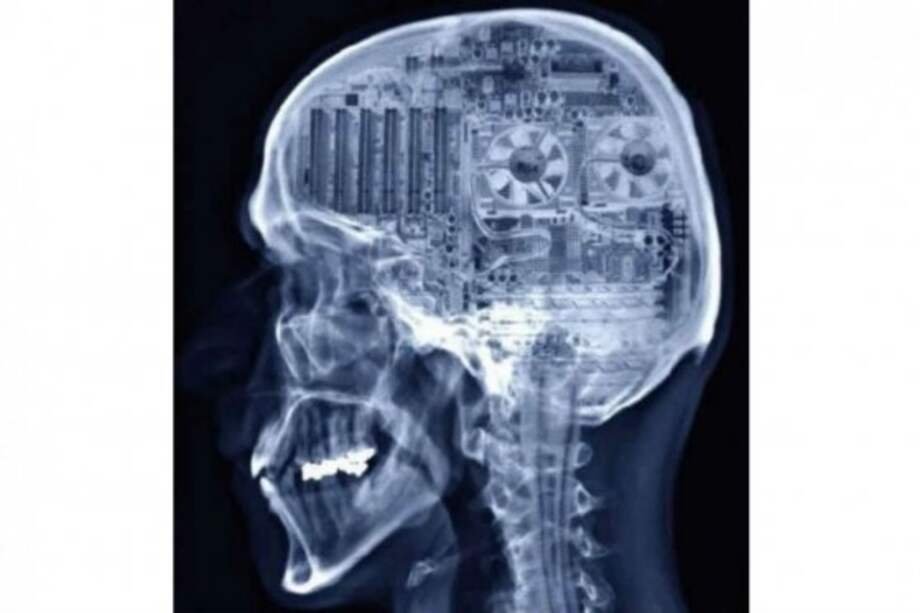 Flickr: Deivisson Pereira. / Flickr: Deivisson Pereira.